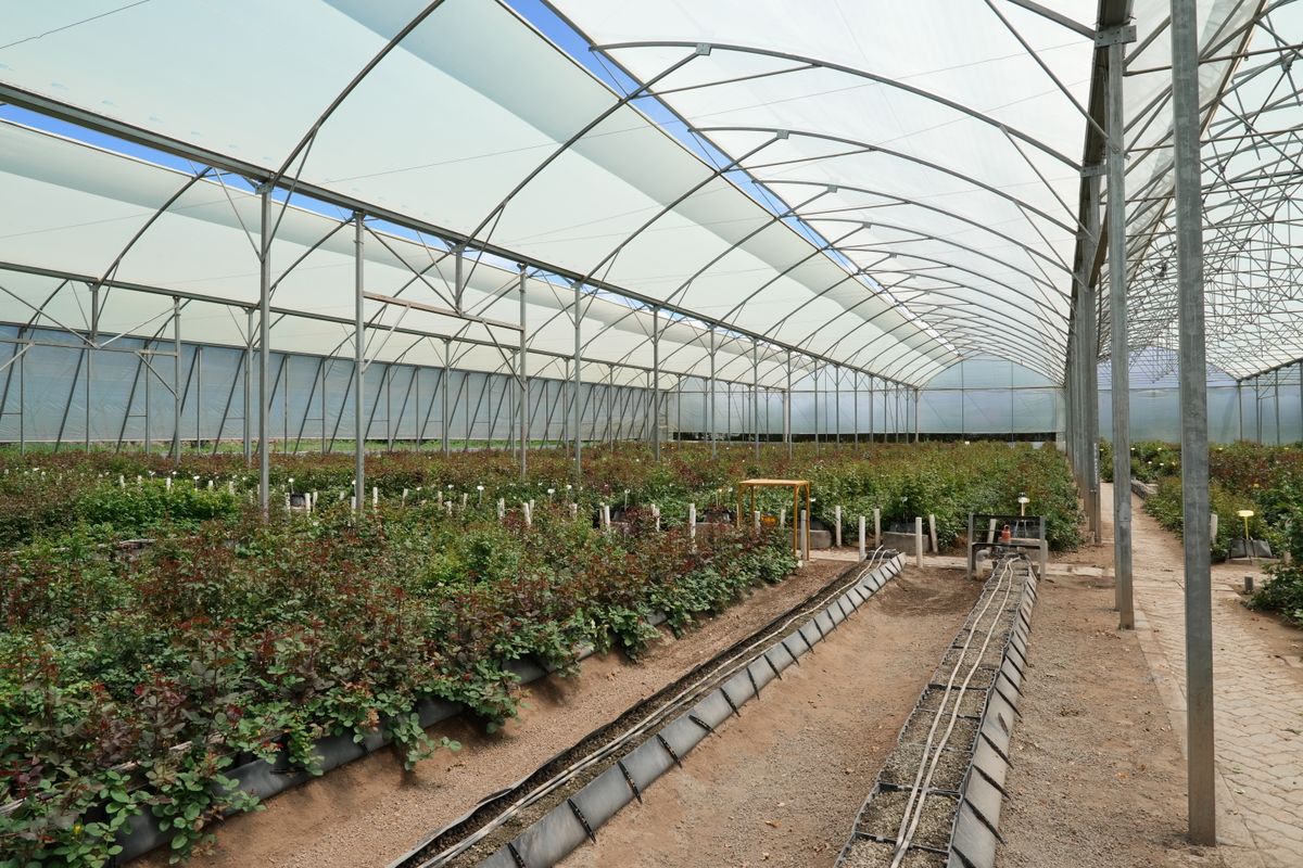 HortiConnect India Expo 2026